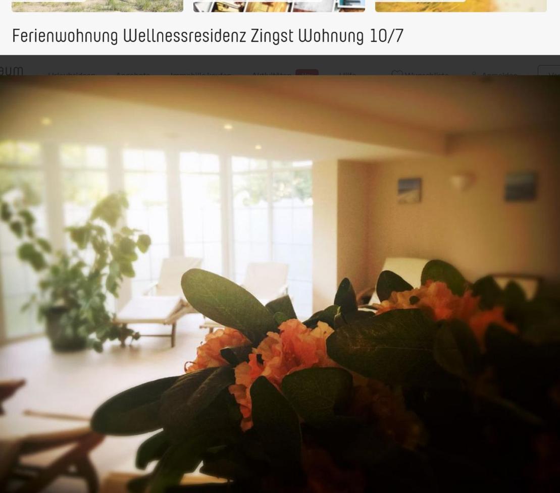 Apartment Ostsee Wellnessresidenz 10 In *